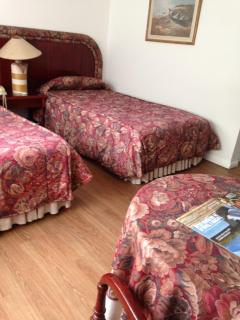 Hotel Aitue - Temuco - 8
