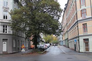 Spacious, central 3BR apt! - 8