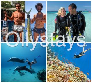 SeaView Mangroovy 2BR, Walk to Pool & Beach, El Gouna! OllyStays - 1