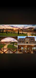 Vachnadziani wine resort - 8