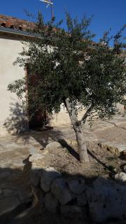 Casa Rural Alamar II - 3