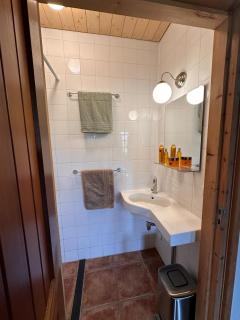 Vakantie woning De Lytse Wâldpleats - 5