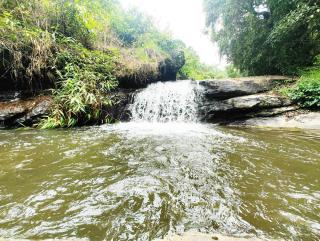Nadlumane Homestay - 3