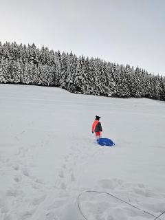 Mazot atypique au calme - 6