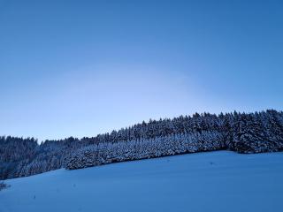 Mazot atypique au calme - 3