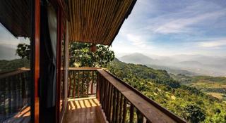 Suoi Giang Tea Culture Space - 7