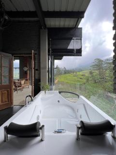 Misty mountains residents - 6
