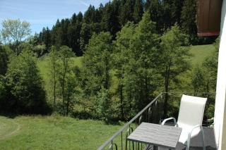 Landhaus Ferienwohnung - Am Leinbach - stilvoll renoviertes Apartment 85m2 - Schwarzwald - 9