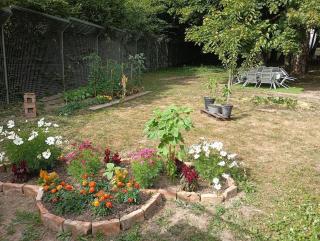 La Planoise - 3