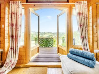 The Cabin Cefn Mawr - 3