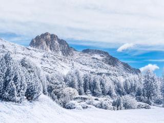 Bijou Alpina Maloja - 3
