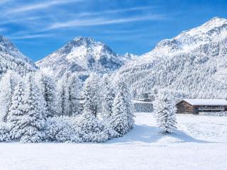 Bijou Alpina Maloja - 7