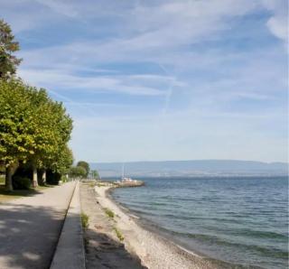Logement cosy dans villa direct plage Publier Lac Leman - 9