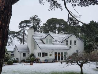 Drumee Lodge boutique B and B, Newcastle, County Down - 8
