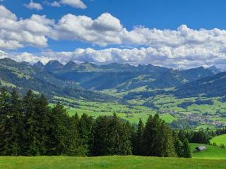 Cosy Swiss Chalet Chnorz Rooms - 3