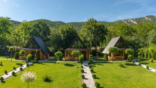 Sicevacka Bajka log cabin in a nature park - 2