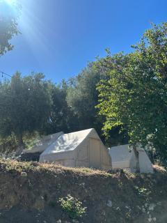 Bocana Camping Borsh - 8