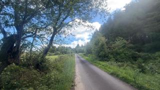 The Woodland Retreat - 9