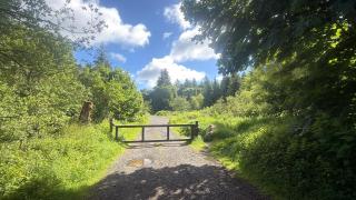 The Woodland Retreat - 5