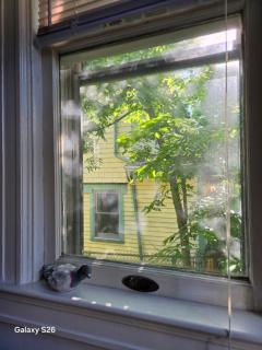 A Private Suite 15 min from Manhattan - 6
