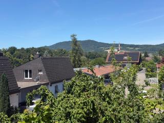 Beautiful Apartment in Niederlenz - 0