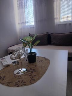 Fully furnished apartment Fushe Kosove ground floor One Bedroom - 9