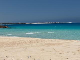 Al Obayed Garden Villa - 0
