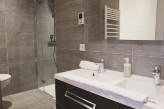Le Jane : Centre ville, Garage, Balcon - 3