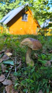 Las Lorien - wynajem domków letniskowych - 1