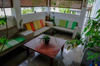 Everdew Kandy - 4