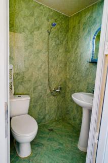 Green House - 7