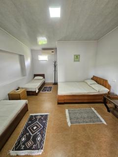 Guesthouse Las Palmas - 1