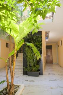 Noa Hotel Velipoje - 1