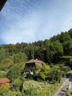 Talblick Apartment Leoben mit Gratis Parkplatz - 5