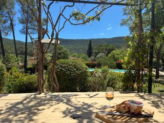 Splendide villa 10p./4 suites/piscine/clim/paysage - 6