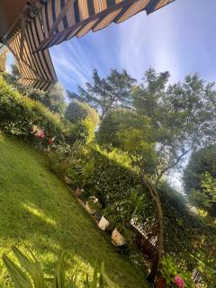 Casa Mimosa - 4