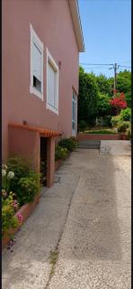 La Finca de Inés y Tuco - 4