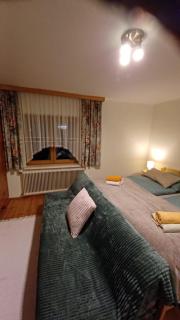 Apartment in Salzkammergut near Hallstatt - 8