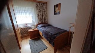 Apartment in Salzkammergut near Hallstatt - 6