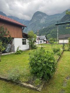 Apartment in Salzkammergut near Hallstatt - 5