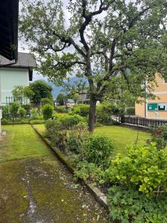 Apartment in Salzkammergut near Hallstatt - 1