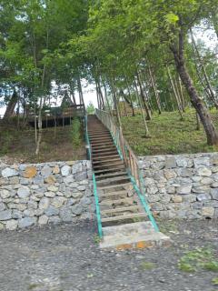 Forest Heaven - 6