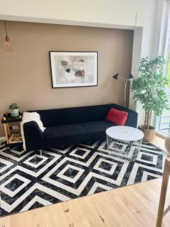 Spacious 2BR Apartment in Aarhus City Center - 0