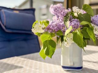 5 person holiday home in FALKENBERG - 5