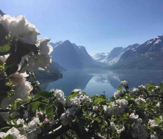 Stryn Vista - Panoramic City & Fjord Views - 4