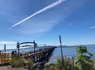 Spacious Family-Friendly 3BR Suite Near White Rock Beach - 8