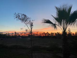 Bir Jdid Farmhouse - 3