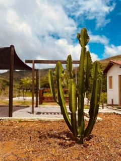 Cactu's Churrascaria e Pousada - 2