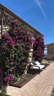 Casa La Petite - 3