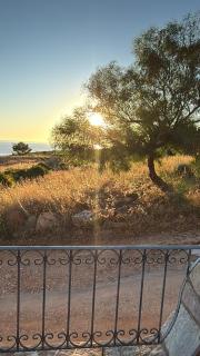 Villa Enza - fronte Mare - 8